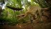 Dino Park
