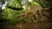 Dino Park